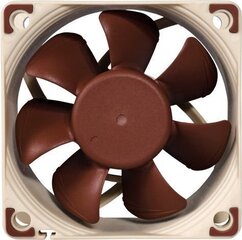 Noctua NF-A6x25 FLX цена и информация | Компьютерные вентиляторы | kaup24.ee