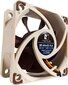 Noctua NF-A6x25 FLX цена и информация | Arvuti ventilaatorid | kaup24.ee