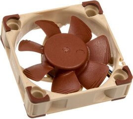 Noctua NF-A4x10 PWM цена и информация | Компьютерные вентиляторы | kaup24.ee