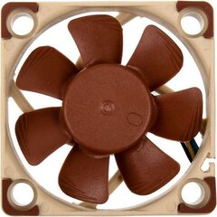 Noctua NF-A4x10 PWM цена и информация | Компьютерные вентиляторы | kaup24.ee