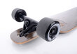 Longboards Tempish Bohemia II hind ja info | Rulad | kaup24.ee