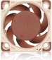 Noctua NF-A4x20 FLX цена и информация | Arvuti ventilaatorid | kaup24.ee