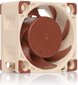 Noctua NF-A4x20 PWM hind ja info | Arvuti ventilaatorid | kaup24.ee