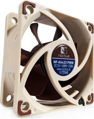 Noctua NF-A6x25-PWM цена и информация | Компьютерные вентиляторы | kaup24.ee