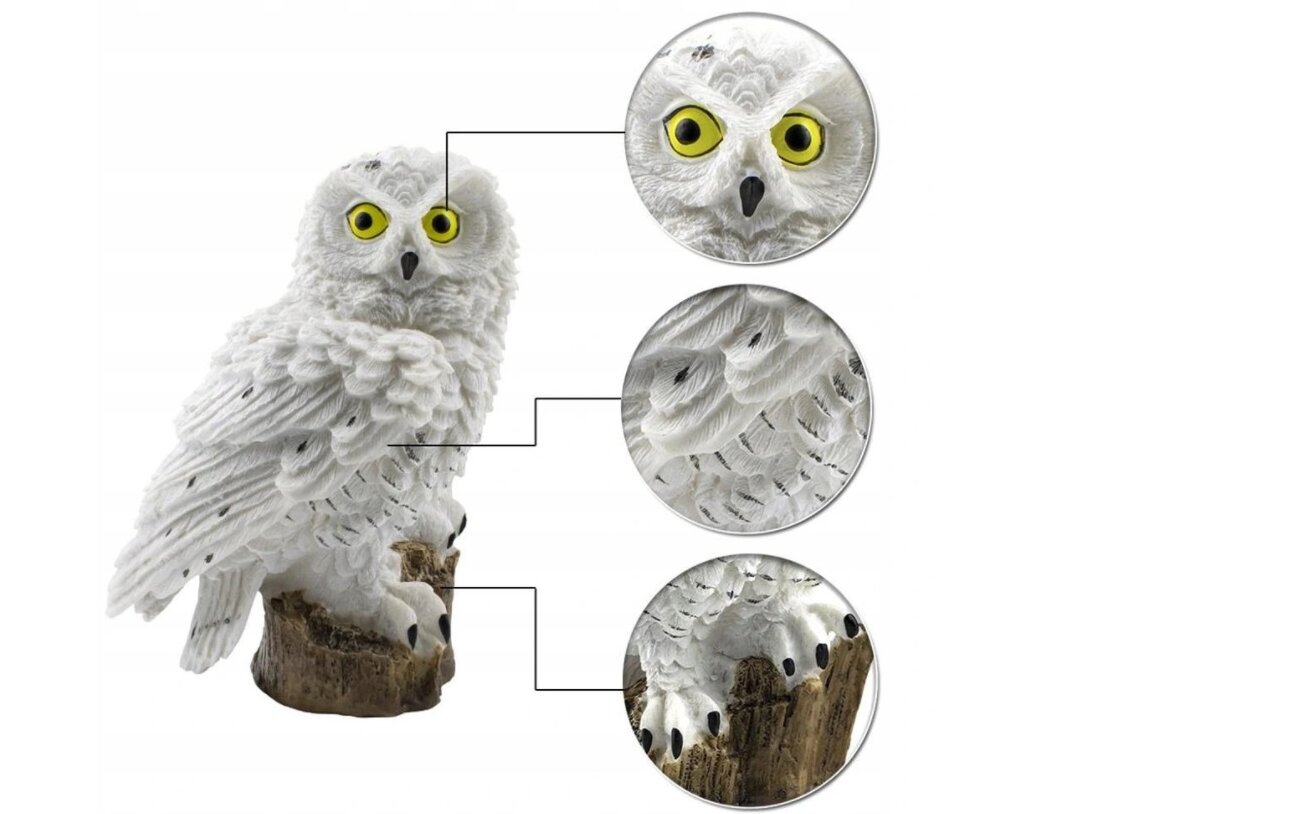 Aia LED lamp Owl hind ja info | Aia- ja õuevalgustid | kaup24.ee