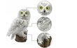 Aia LED lamp Owl цена и информация | Aia- ja õuevalgustid | kaup24.ee