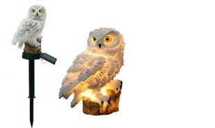 Aia LED lamp Owl hind ja info | Aia- ja õuevalgustid | kaup24.ee