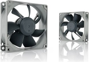 Noctua NF-R8 Redux-1800 PWM hind ja info | Arvuti ventilaatorid | kaup24.ee