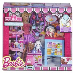 Barbie CCL73 цена и информация | Игрушки для девочек | kaup24.ee