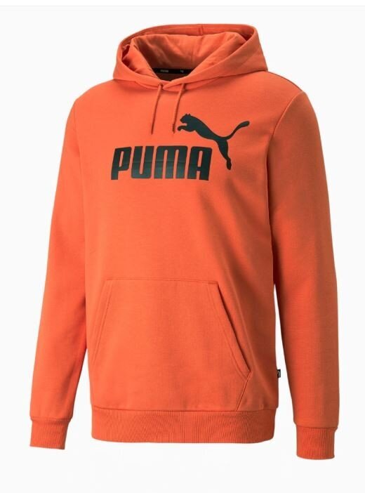 Meeste dressipluus Puma 586687*94, oranž 4065453303036 hind ja info | Meeste pusad | kaup24.ee