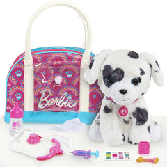 Komplekt Barbie Hug and Kiss Pet Doctor hind ja info | Tüdrukute mänguasjad | kaup24.ee