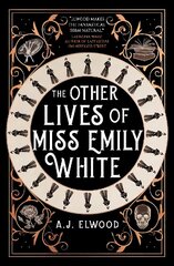 Other Lives of Miss Emily White hind ja info | Fantaasia, müstika | kaup24.ee