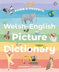 Pawb a Phopeth - Welsh / English Picture Dictionary Bilingual edition hind ja info | Noortekirjandus | kaup24.ee