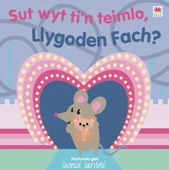 Sut Wyt Ti'n Teimlo, Llygoden Fach? hind ja info | Väikelaste raamatud | kaup24.ee