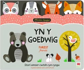 Ffrindiau Cysglyd: yn y Goedwig / Sleepyheads: Forest Friends Bilingual edition hind ja info | Väikelaste raamatud | kaup24.ee