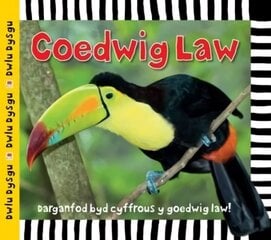 Cyfres Dwlu Dysgu: Coedwig Law цена и информация | Книги для подростков и молодежи | kaup24.ee