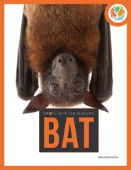 Spotlight on Nature: Bat цена и информация | Книги для подростков и молодежи | kaup24.ee