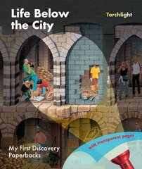 Life Below the City цена и информация | Книги для подростков и молодежи | kaup24.ee