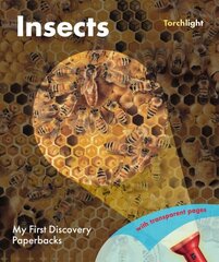 Insects hind ja info | Noortekirjandus | kaup24.ee