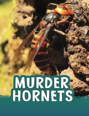 Murder Hornets hind ja info | Noortekirjandus | kaup24.ee