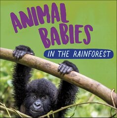 Animal Babies: In the Rainforest цена и информация | Книги для подростков и молодежи | kaup24.ee