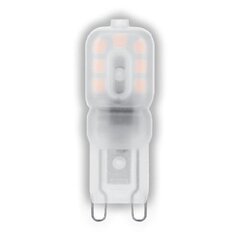 LED-lamp Avide 2,5W G9 3000K цена и информация | Лампочки | kaup24.ee