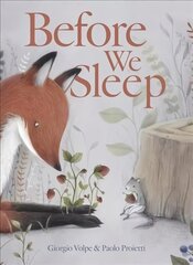 Before We Sleep цена и информация | Книги для малышей | kaup24.ee