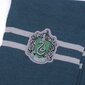 Harry Potteri Slytherini talvekomplekt цена и информация | Poiste mütsid, sallid, kindad | kaup24.ee