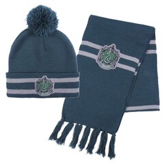 Harry Potteri Slytherini talvekomplekt цена и информация | Шапки, перчатки, шарфы для мальчиков | kaup24.ee