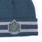 Harry Potteri Slytherini talvekomplekt цена и информация | Poiste mütsid, sallid, kindad | kaup24.ee