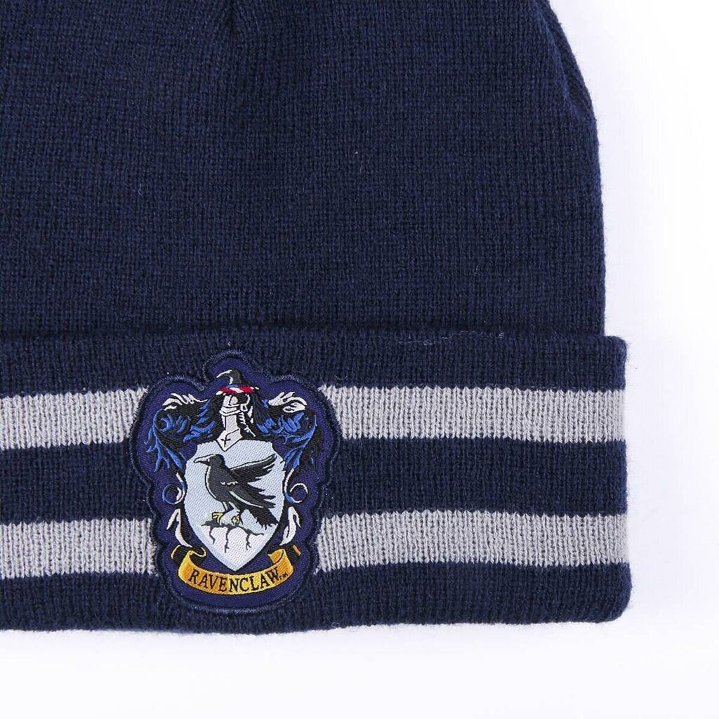 Harry Potteri Ravenclaw talvekomplekt hind ja info | Poiste mütsid, sallid, kindad | kaup24.ee