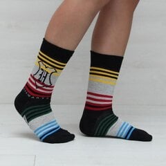 Комплект из 3 пар носков Гарри Поттера цена и информация | Мужские носки | kaup24.ee