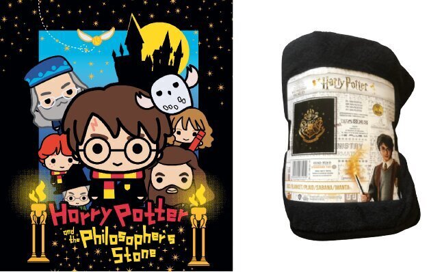 Harry Potteri fliistekk hind ja info | Voodikatted, pleedid | kaup24.ee