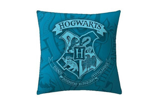 Harry Potteri padi 40 x 40 cm hind ja info | Dekoratiivpadjad ja padjakatted | kaup24.ee