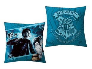 Harry Potteri padi 40 x 40 cm hind ja info | Dekoratiivpadjad ja padjakatted | kaup24.ee