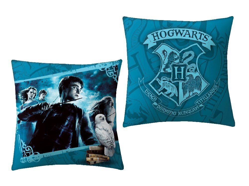 Harry Potteri padi 40 x 40 cm цена и информация | Dekoratiivpadjad ja padjakatted | kaup24.ee