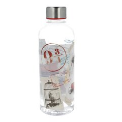 Harry Potter 850 ml hind ja info | Fännitooted mänguritele | kaup24.ee