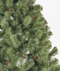 Рождественская елка Liza с шишками 2.5 м цена и информация | Новогодние елки | kaup24.ee