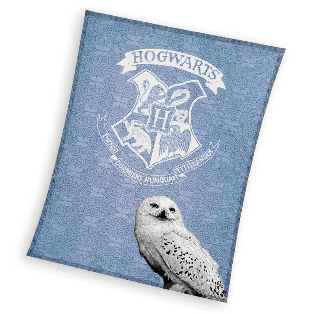 Harry Potteri fliis tekk 130 x 170 hind ja info | Voodikatted, pleedid | kaup24.ee