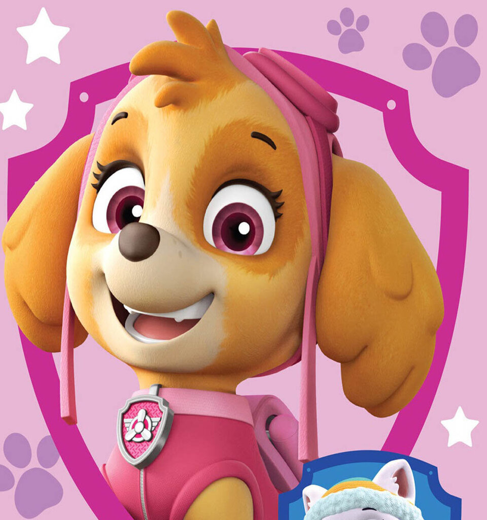 Paw Patrol fliis tekk 130 x 170 hind ja info | Voodikatted, pleedid | kaup24.ee