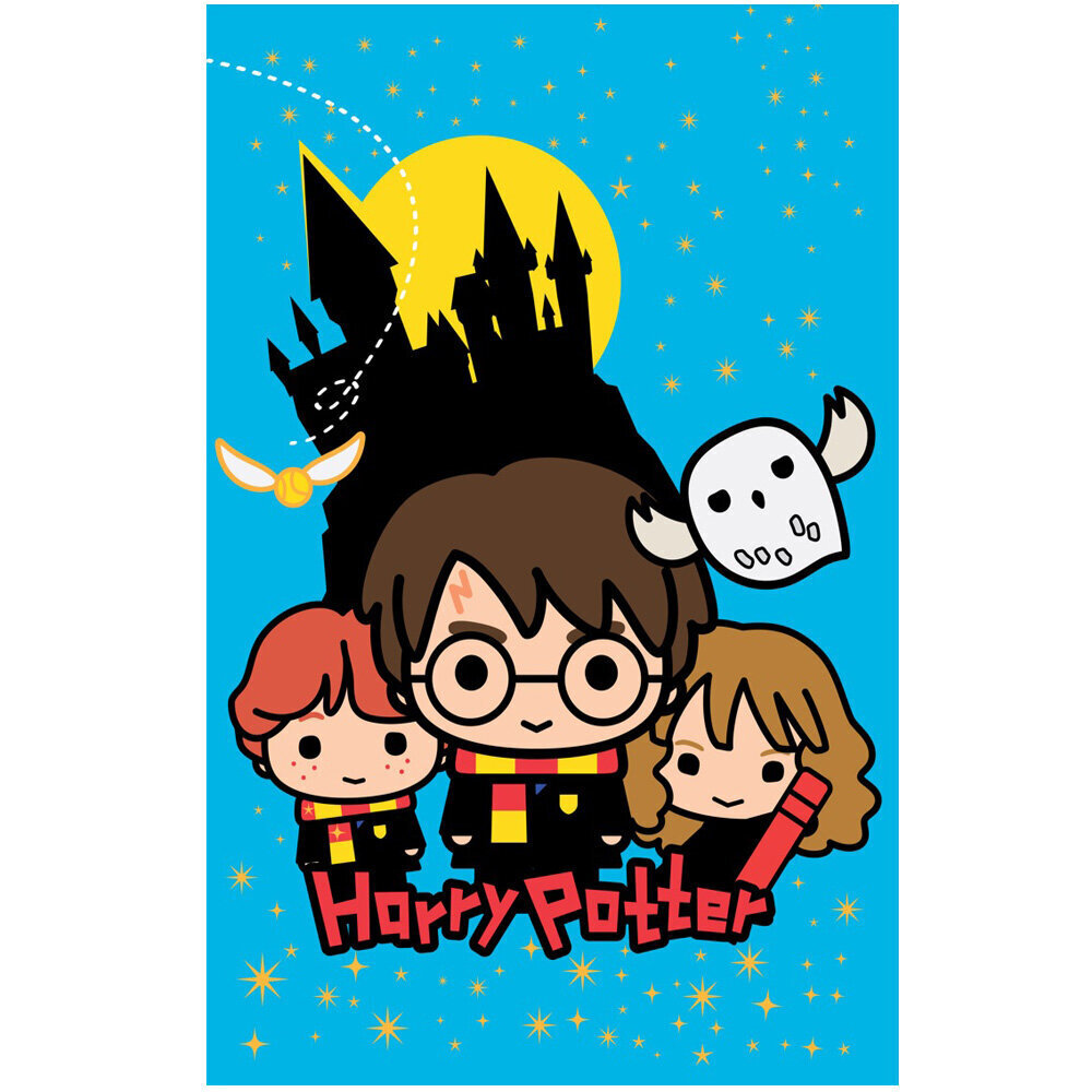 Harry Potteri fliis tekk 100 x 150 hind ja info | Voodikatted, pleedid | kaup24.ee