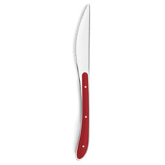 Столовый нож Amefa Bistro (23 см) цена и информация | Ножи и аксессуары для них | kaup24.ee