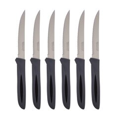 Набор ножей для мяса, 21 см, 6 шт. цена и информация | Подставка для ножей Tescoma Woody, 21 см | kaup24.ee