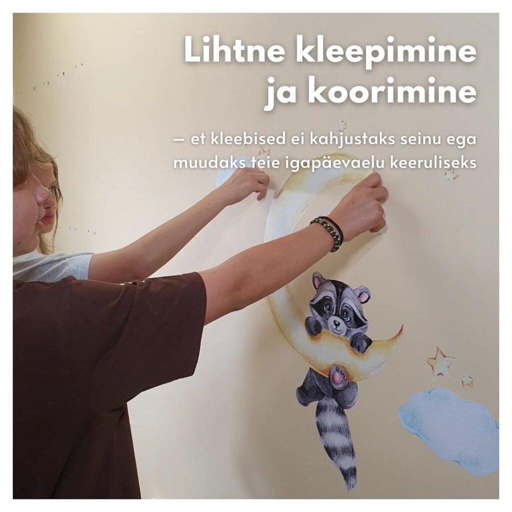 Laste interjööri kleebis Hippo Cub on the Cloud hind ja info | Seinakleebised | kaup24.ee