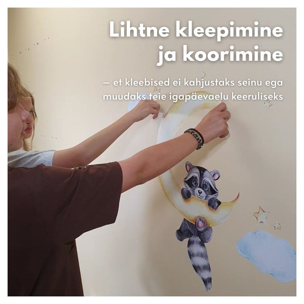 Laste interjööri kleebis Teddy Bear Artist hind ja info | Seinakleebised | kaup24.ee