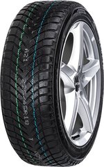 Neolin NeoWinter 235/35R19 91V XL цена и информация | Зимняя резина | kaup24.ee