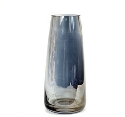 Стеклянная ваза, 22 х 10 см цена и информация | Вазы | kaup24.ee