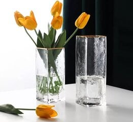 Klaasvaas, 24,5 x 8 x 8 cm hind ja info | Vaasid | kaup24.ee