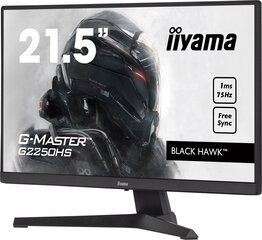 Монитор Iiyama G2250HS-B1 цена и информация | Iiyama Мониторы, стойки для мониторов | kaup24.ee