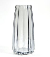 Стеклянная ваза, 21x10 см цена и информация | Vaasid | kaup24.ee